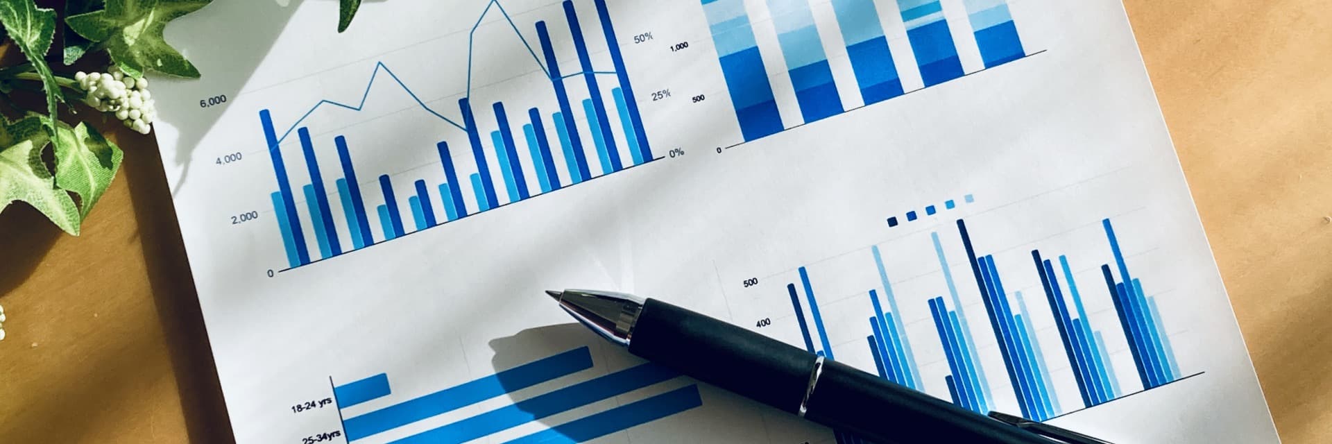 Subsidy consultation